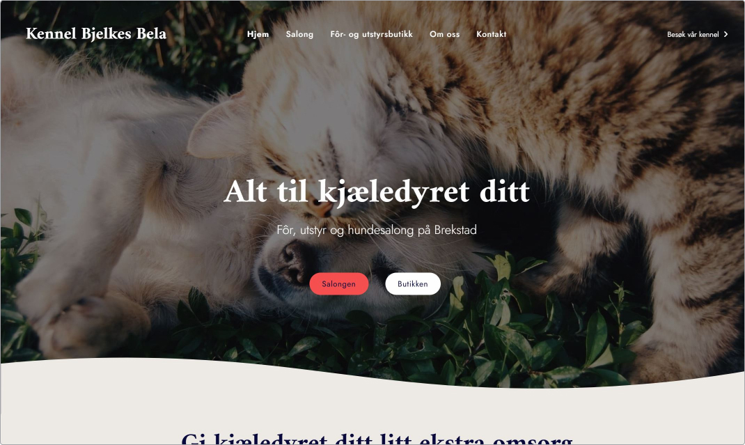 Mono - Best Website Competition Showcase 2024 - Kennel Bjelkes Bela